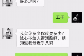 桐乡讨债公司